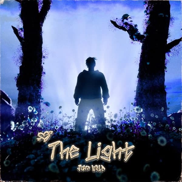 The Light cover